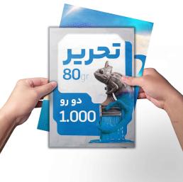 1000 عددی دو رو